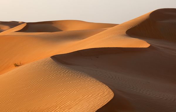 desert