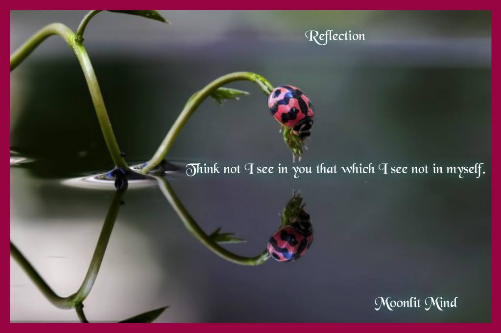 ReflectionLadyBug